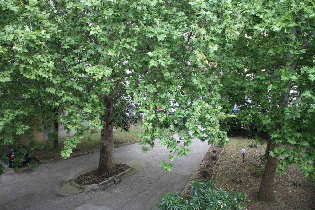 Hotel Garden Milano Eksteriør billede